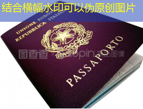 合肥移民中介加盟：在“新一线”风口上，把全球身份做成一门可持续生意